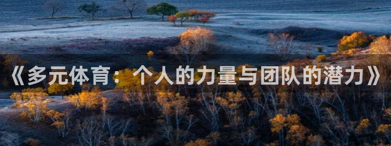 yy易游官网下载招商电话地址：《多元体育：个人的力量