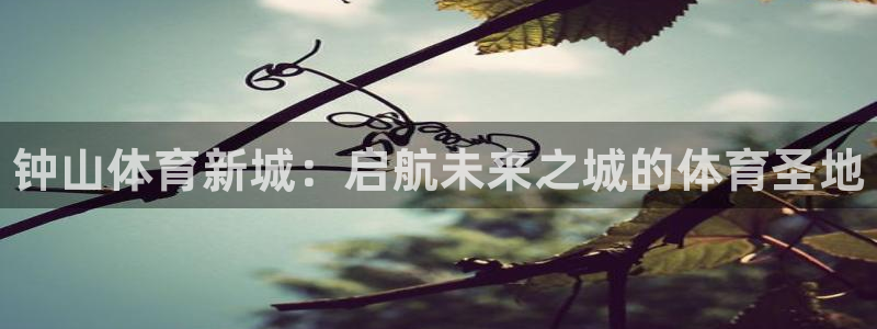 yy易游官网下载：钟山体育新城：启航未来之城的体育圣