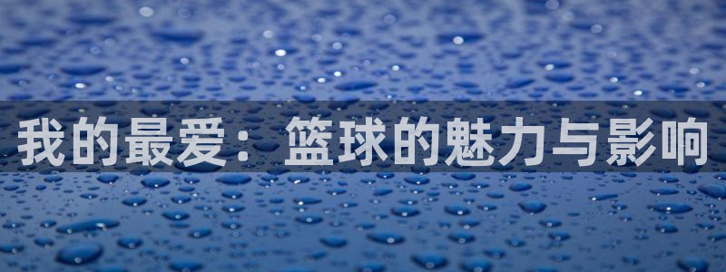 yy易游官网下载招商：我的最爱：篮球的魅力与影响