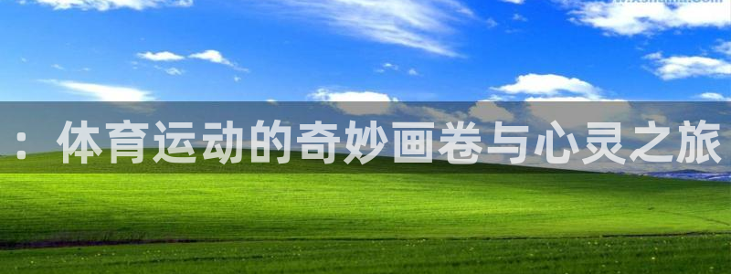 yy易游官网下载平台APP：：体育运动的奇妙画卷与心