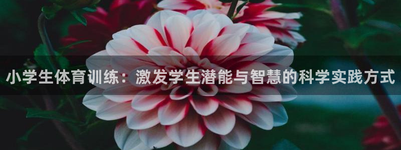 海南yy易游官网下载：小学生体育训练：激发学生潜能与