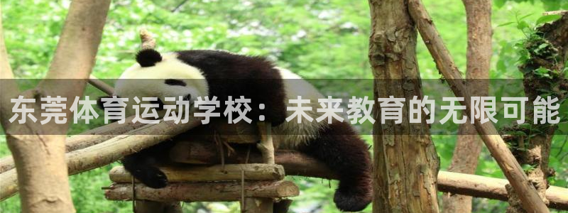 yy易游官网下载娱乐：东莞体育运动学校：未来教育的无