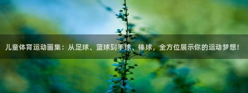 yy易游官网下载注册：儿童体育运动画集：从足球、篮球