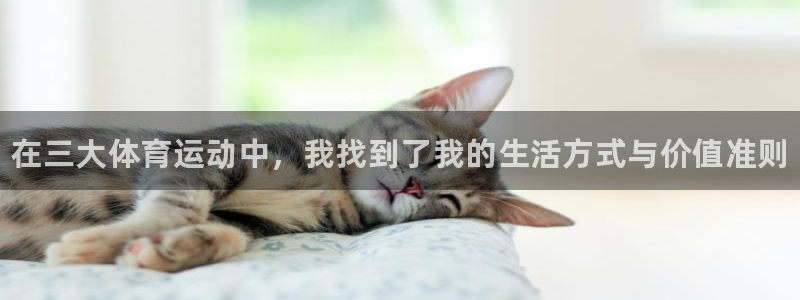 yy易游官网下载招商电话号码是多少
