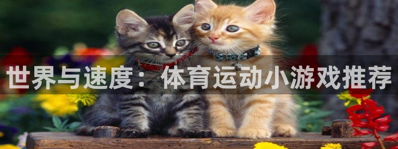 yy易游官网下载招商：世界与速度：体育运动小游戏推荐