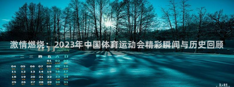 yy易游官网下载平台注册流程视频：激情燃烧：2023年中国体