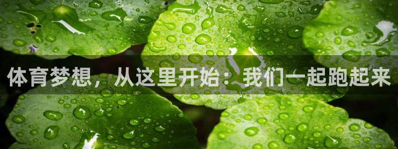 海南yy易游官网下载：体育梦想，从这里开始：我们一起跑起来