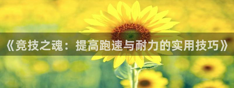 yy易游官网下载平台假的吗是真的吗：《竞技之魂：提高