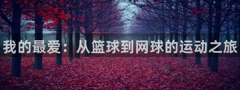 yy易游官方正版app科技：我的最爱：从篮球到网球的