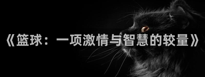 yy易游官方正版app五金厂：《篮球：一项激情与智慧