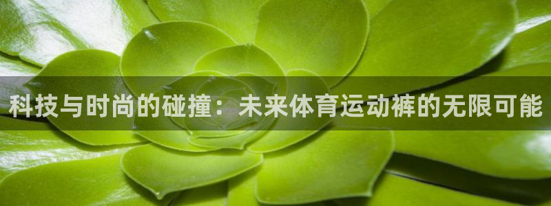 yy易游官网下载官方客服电话：科技与时尚的碰撞：未来