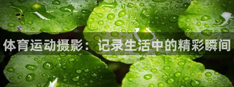 yy易游官网下载招商电话号码是多少啊：体育运动摄影：