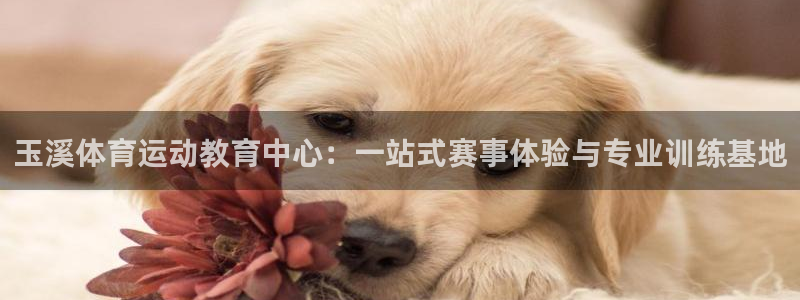 yy易游官网下载平台假的吗是真的吗