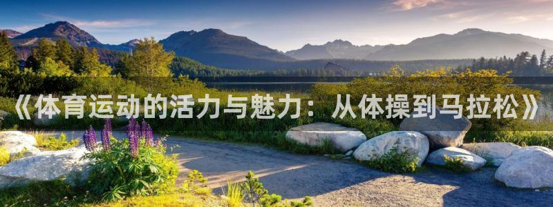 yy易游官方集团官网：《体育运动的活力与魅力：从体操