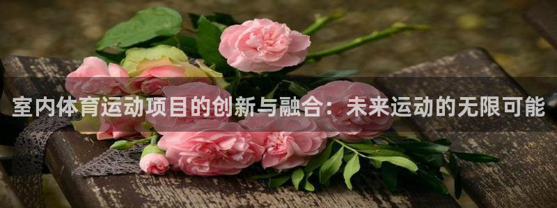 yy易游官方正版app集团logo：室内体育运动项目的创新与