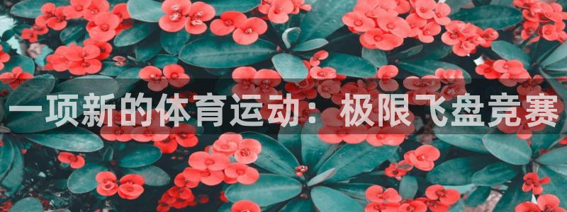 yy易游官网下载招商电话是多少啊：一项新的体育运动：极限飞盘