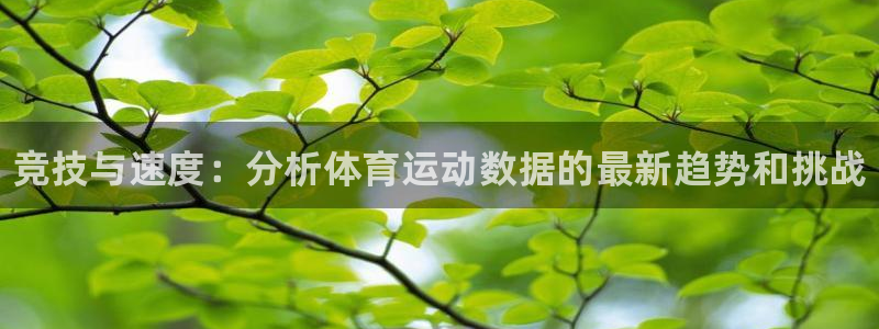 yy易游官方正版app集团简介：竞技与速度：分析体育运动数据