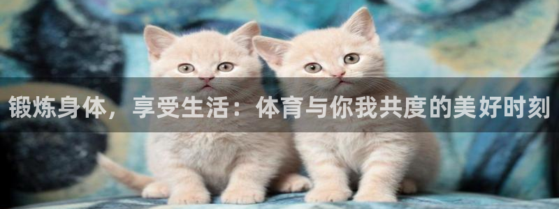 yy易游官方正版app集团：锻炼身体，享受生活：体育与你我共