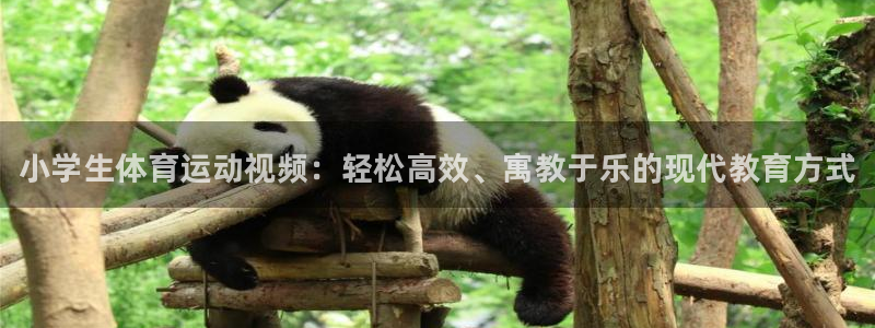 yy易游官网下载平台注册流程视频：小学生体育运动视频：轻松高