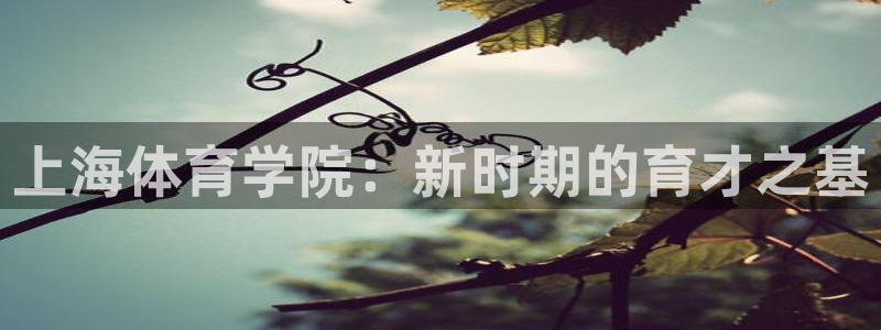 yy易游官网下载招商电话地址是多少：上海体育学院：新时期的育