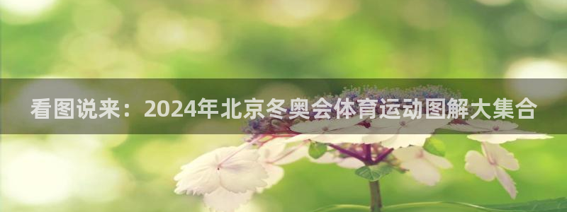 yy易游官方正版app娱乐下载：看图说来：2024年