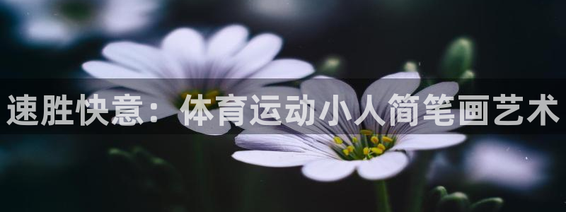 yy易游官方正版app代理：速胜快意：体育运动小人简笔画艺术