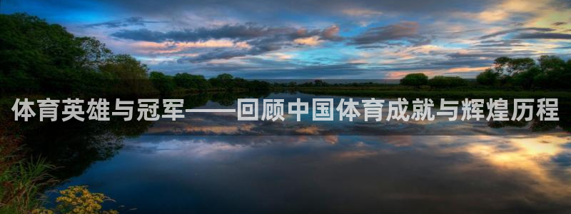 yy易游官方正版app集团简介