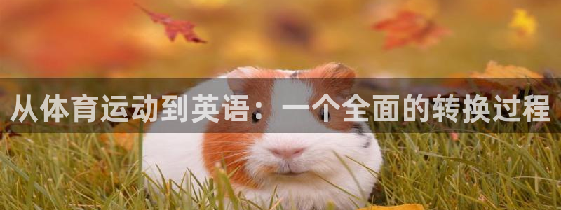 yy易游官网下载招商电话号码：从体育运动到英语：一个全面的转