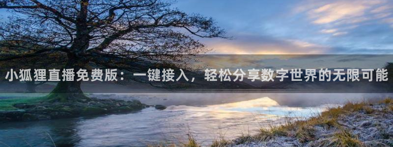 乐球体育直播吧：小狐狸直播免费版：一键接入，轻松分享数字世界的无限可能