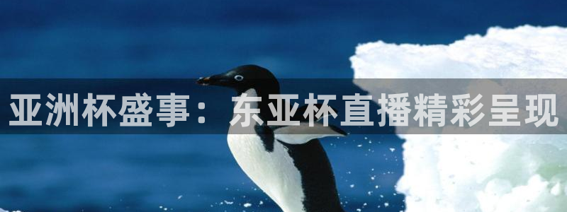 nba直播吧极速体育高清：亚洲杯盛事：东亚杯直播精彩呈现