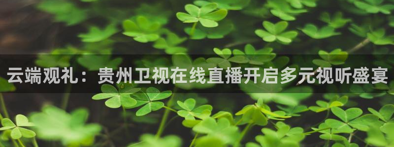 直播吧在：云端观礼：贵州卫视在线直播开启多元视听盛宴