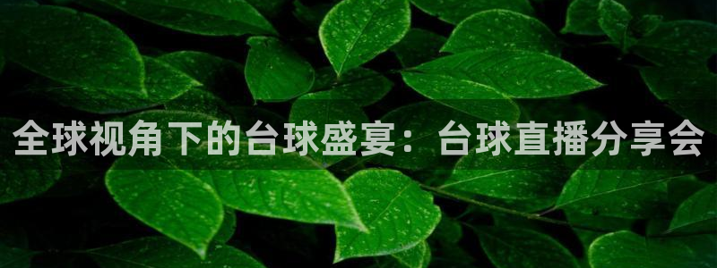 直播吧nba免费在线观看：全球视角下的台球盛宴：台球直播分享会