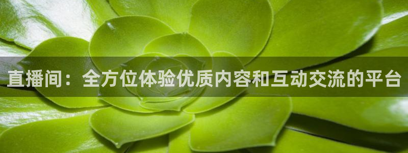 王者体育直播吧体育直播