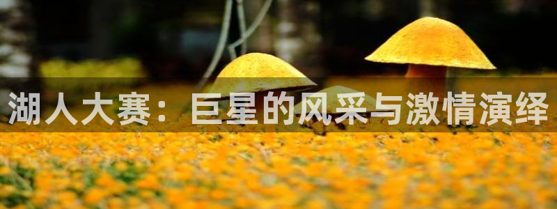 168足球直播吧