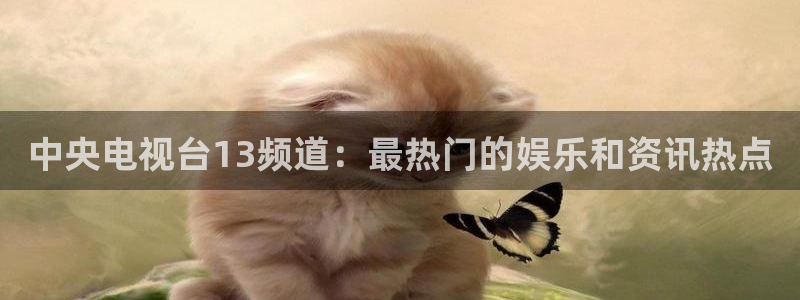 360体育足球直播吧