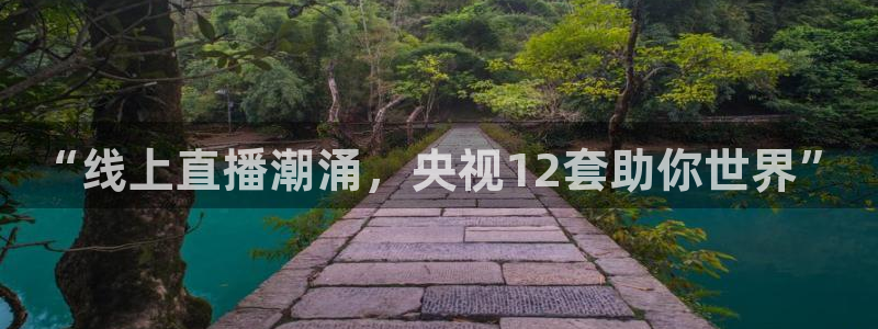 足球直播吧24直播网：“线上直播潮涌，央视12套助你世界”