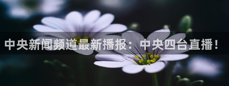 51体育直播吧在线直播：中央新闻频道最新播报：中央四台直播！