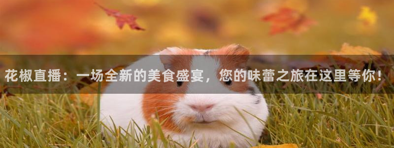 nba啊直播吧极速体育：花椒直播：一场全新的美食盛宴，您的味蕾之旅在这里等你！